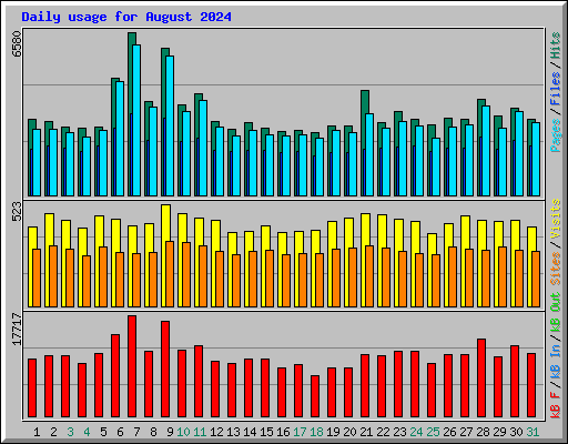 Daily usage for August 2024