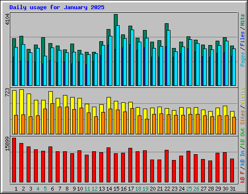 Daily usage for January 2025