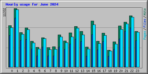 Hourly usage for June 2024