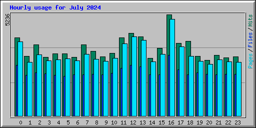Hourly usage for July 2024