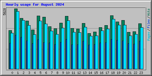 Hourly usage for August 2024