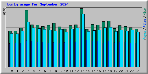 Hourly usage for September 2024