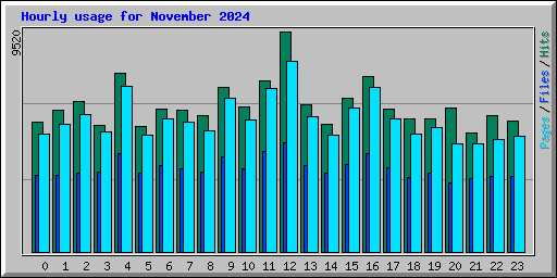 Hourly usage for November 2024