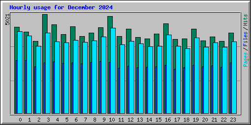 Hourly usage for December 2024