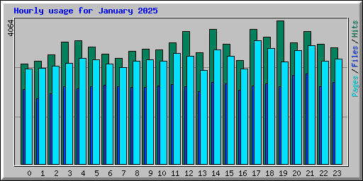 Hourly usage for January 2025