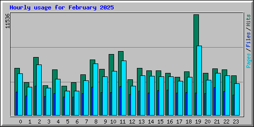 Hourly usage for February 2025