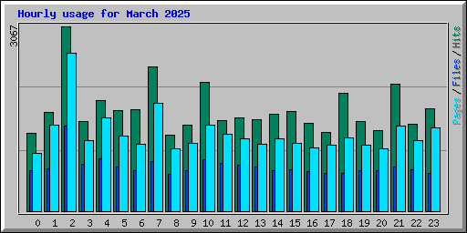 Hourly usage for March 2025